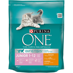 Purina ONE Junior sucha karma dla kotów 800 g Kocięta Kurczak