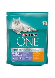 Purina ONE COAT & HAIRBALL RICH IN CHICKEN sucha karma dla kotów 800 g Dorosły Kurczak